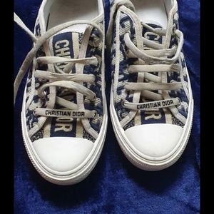 Walk N Dior sneaker